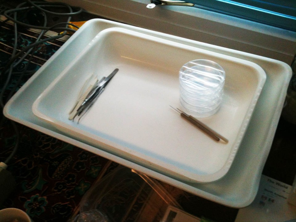 basic equipment needed