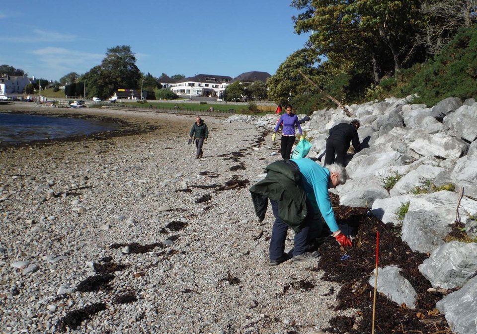 working together along the strandline