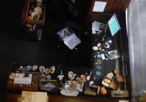 Exhib overhead small