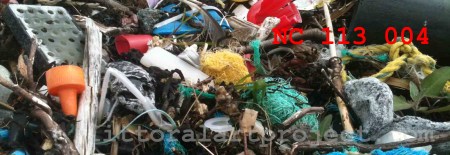 Dun Canna strandline mix copy