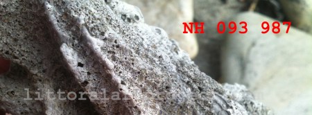 IMartin melted plastic copy