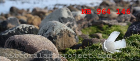 Rief loch gun catridge copy