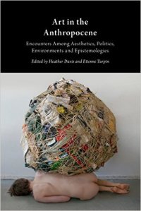 Art in the anthropocene Book cover