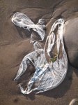 plastic bag scottish