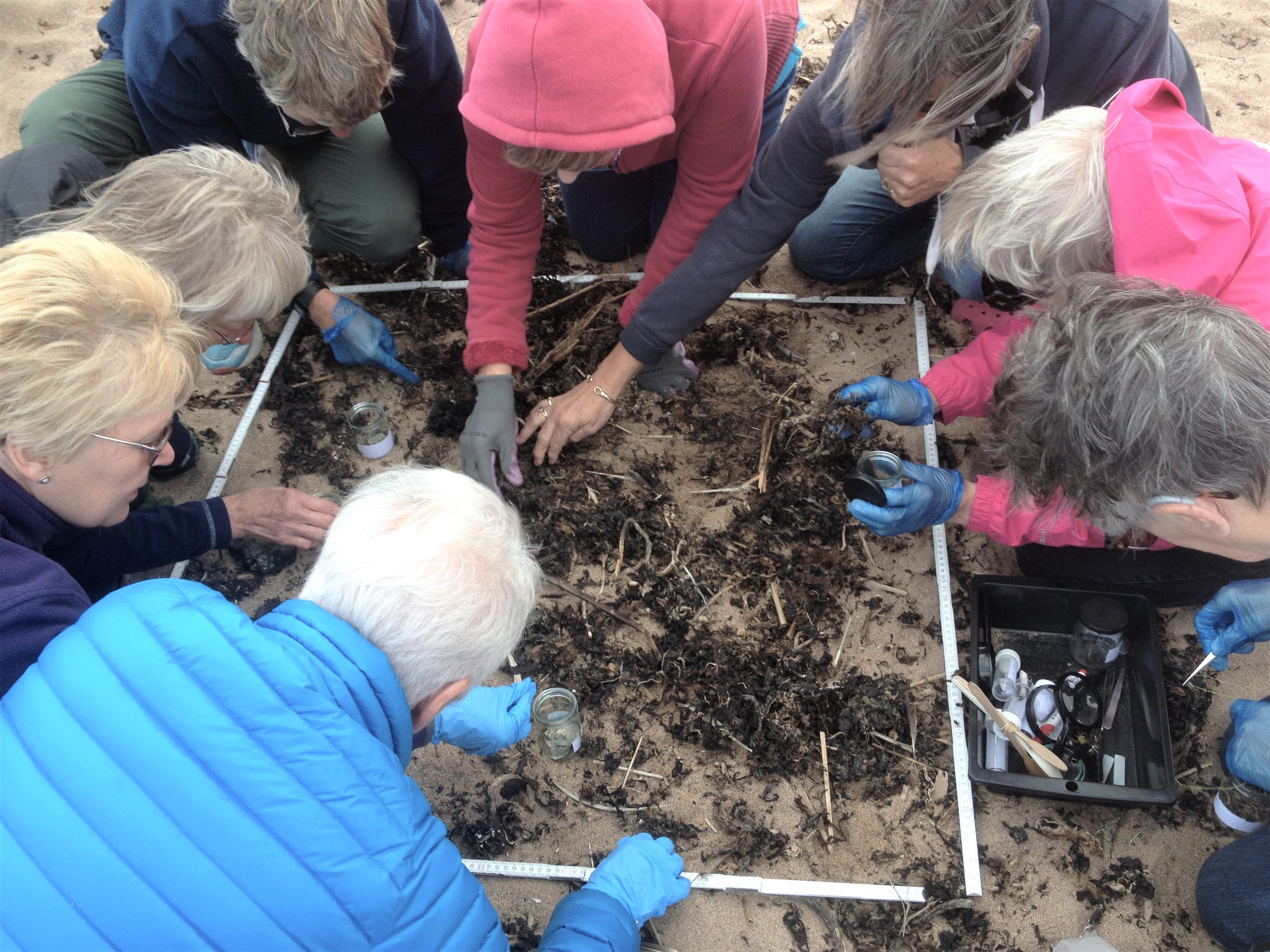 Close examination east haven beach (2)